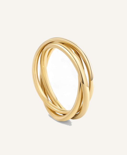 Dainty Interlocking Fidget Ring — Vanny Jewels