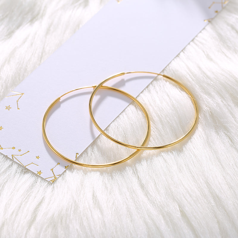 Endless Hoop Earrings in 925 sterling silver