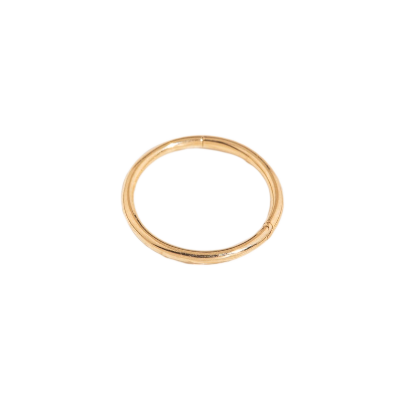 Classic Cartilage Hoop Earrings | 16g in gold tone