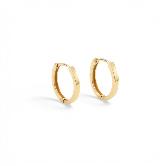 Everyday Hinging Hoop Earring earrings — Vanny Jewels
