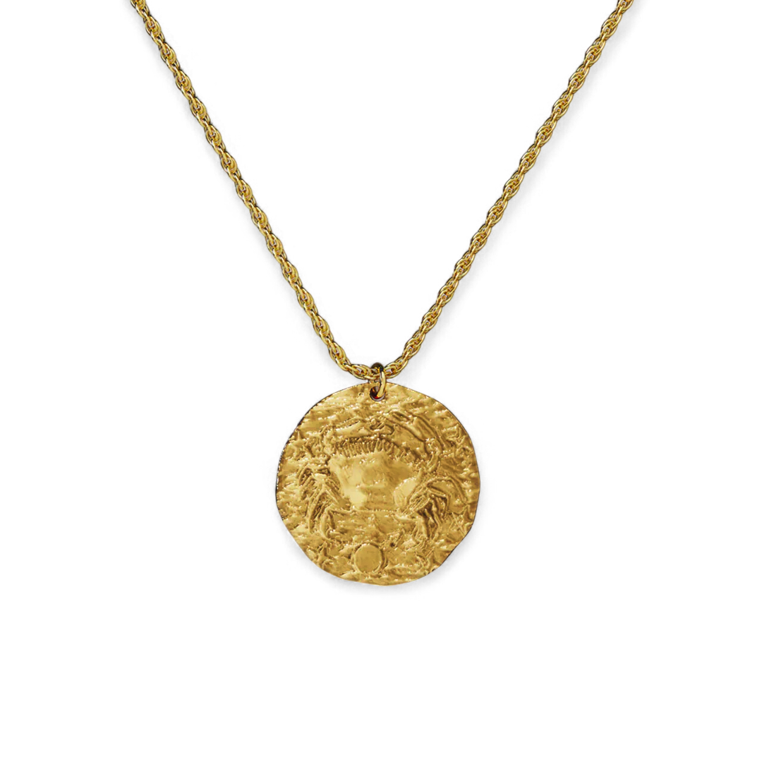 Hammered Gold Zodiac Pendant Necklace — Vanny Jewels
