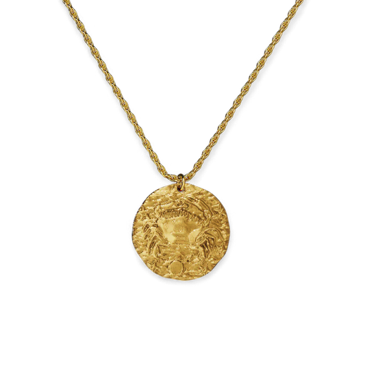 Hammered Gold Zodiac Pendant Necklace — Vanny Jewels