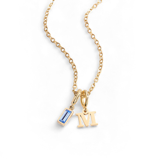 Minimalist Initial Necklace with Birthstone Charm in Stainless Steel — Vanny Jewels