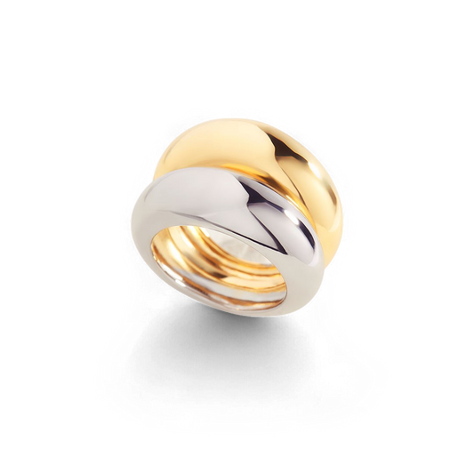 The Merge Mixed Metal Ring — Vanny Jewels