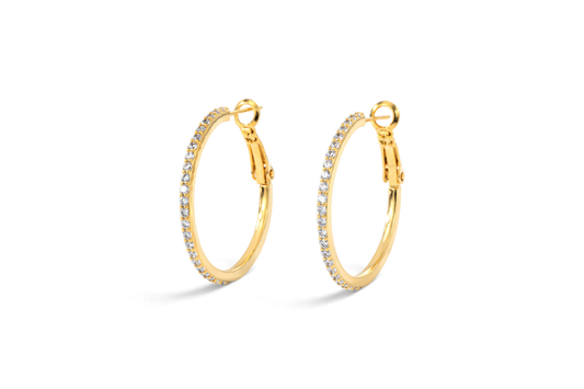 Pave Hoop Earrings — Vanny Jewels