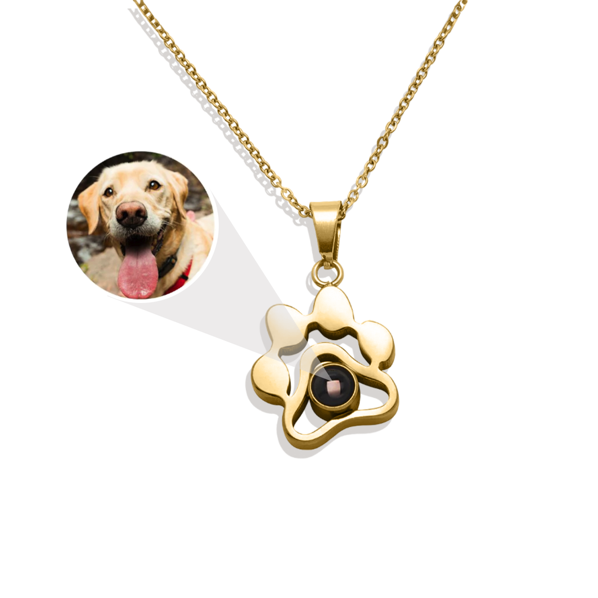 Personalized Pet Photo Necklace — Vanny Jewels