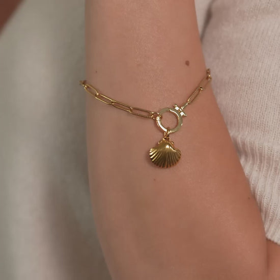 Shell Charm