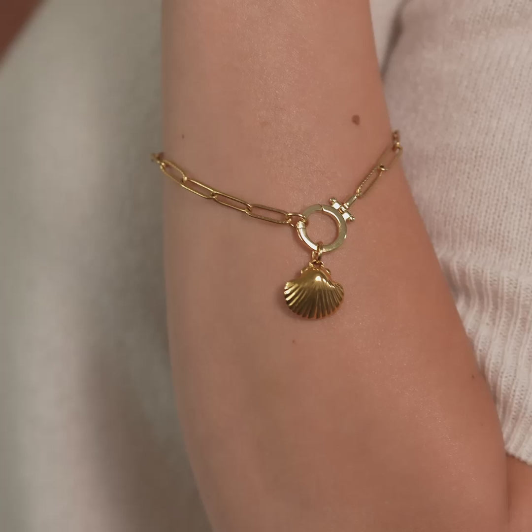 Shell Charm